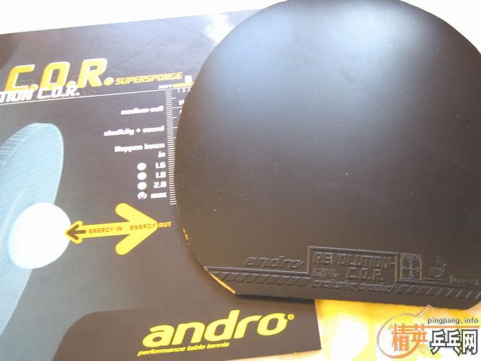 COR_SP��165Ԫ�����