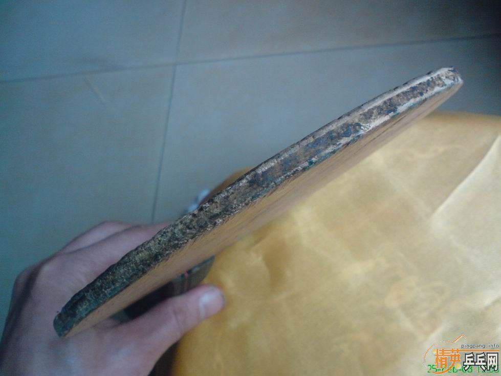 ����֧���ĺ����¾ա�����ŵ��EG��һ֧