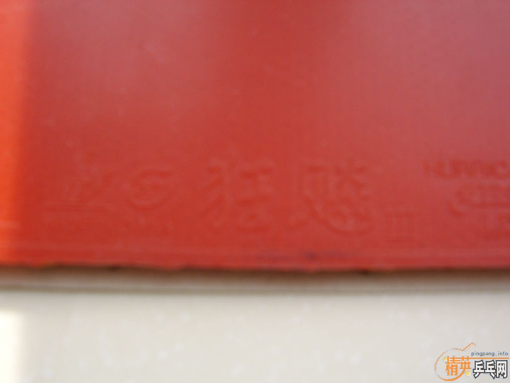 ���˳�����׽�����