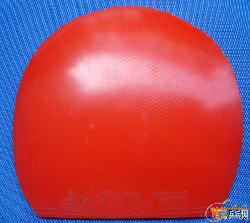 ʡ��3  G2  G555  ��֧����