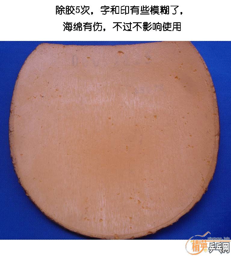 ʡ��3  G2  G555  ��֧����