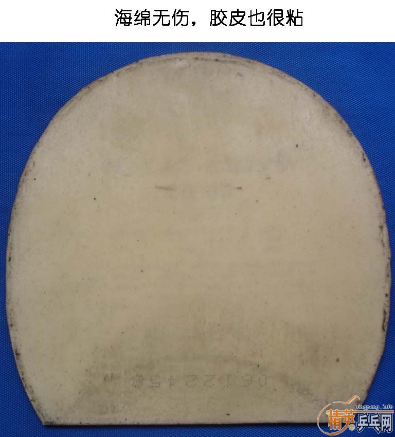 ʡ��3  G2  G555  ��֧����