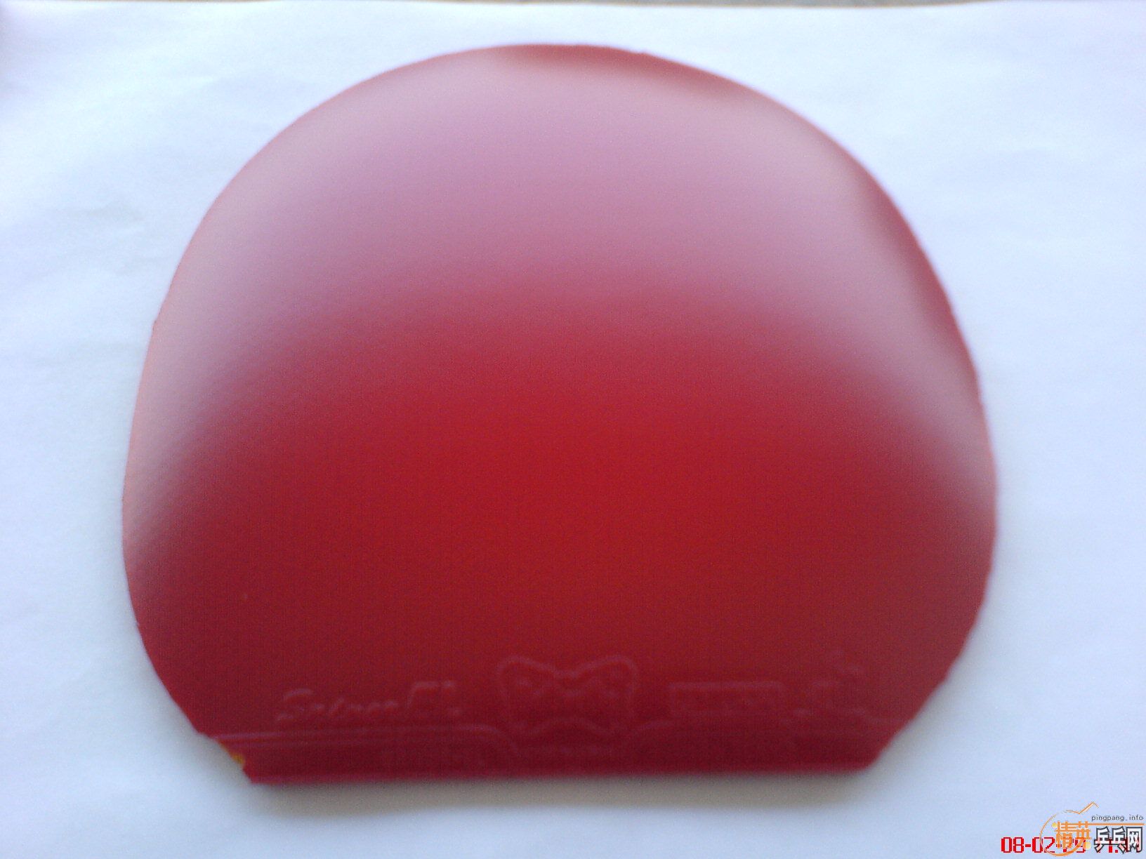 һ�ٰ����9.5��EL