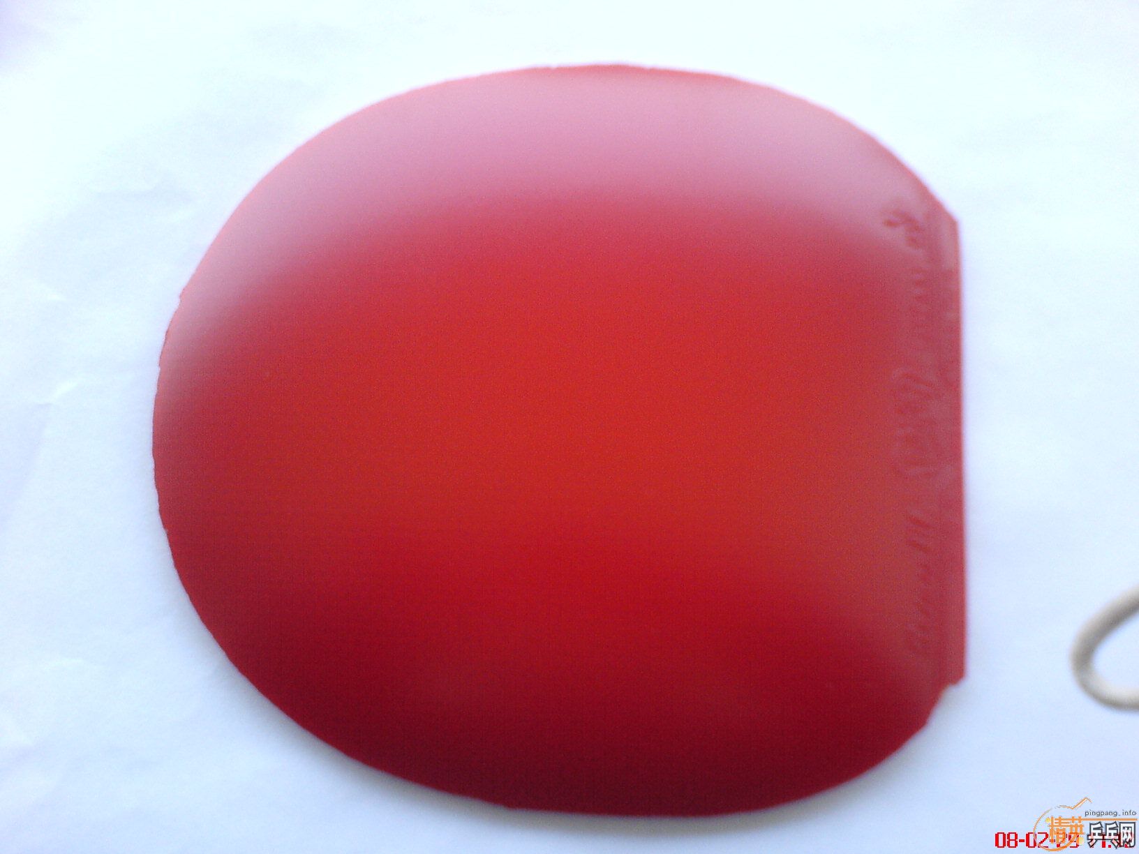 һ�ٰ����9.5��EL