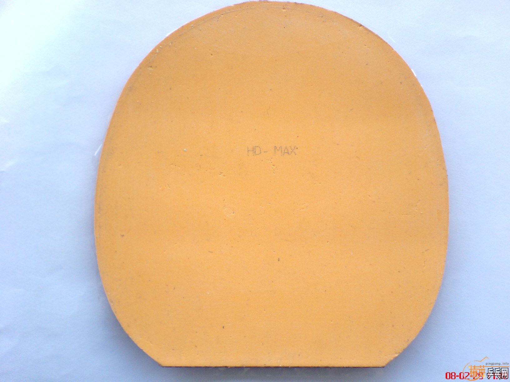 һ�ٰ����9.5��EL