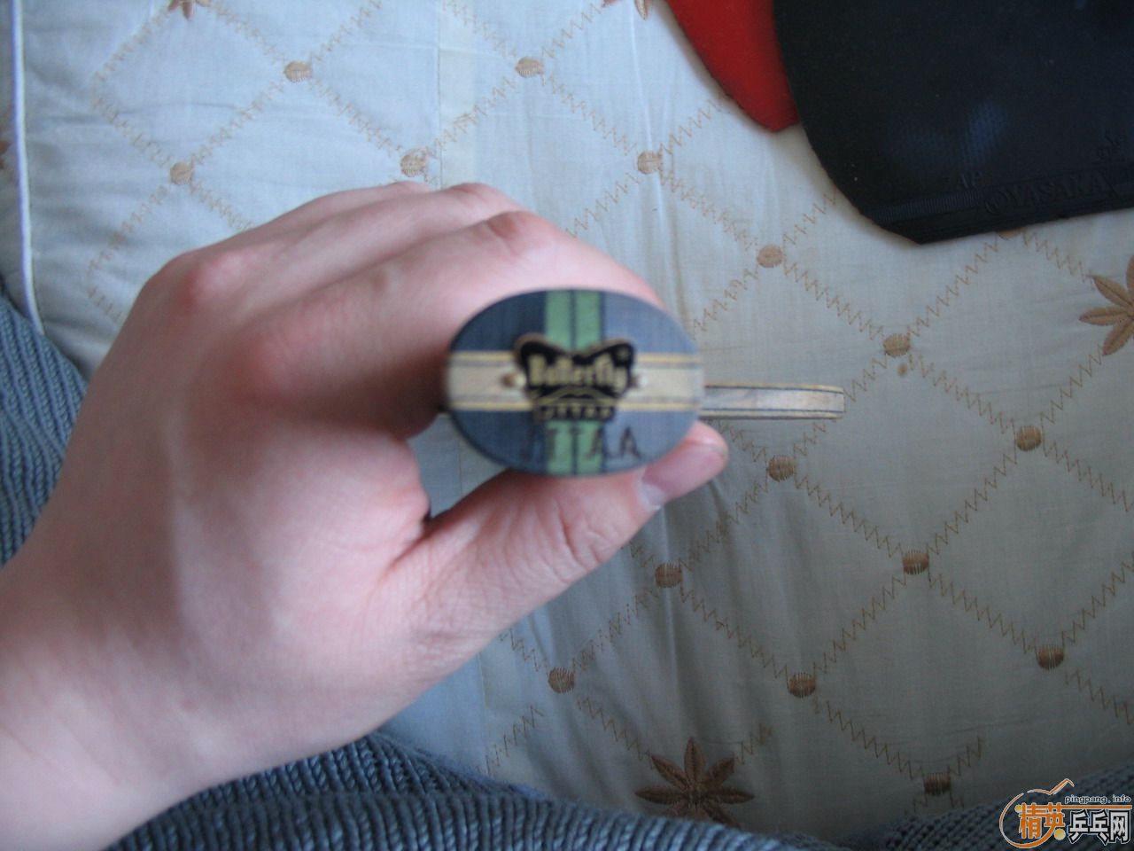 ��������ֱ��һ����8��5�£�240Ԫ���������ֿ�����YASAKA ZAP