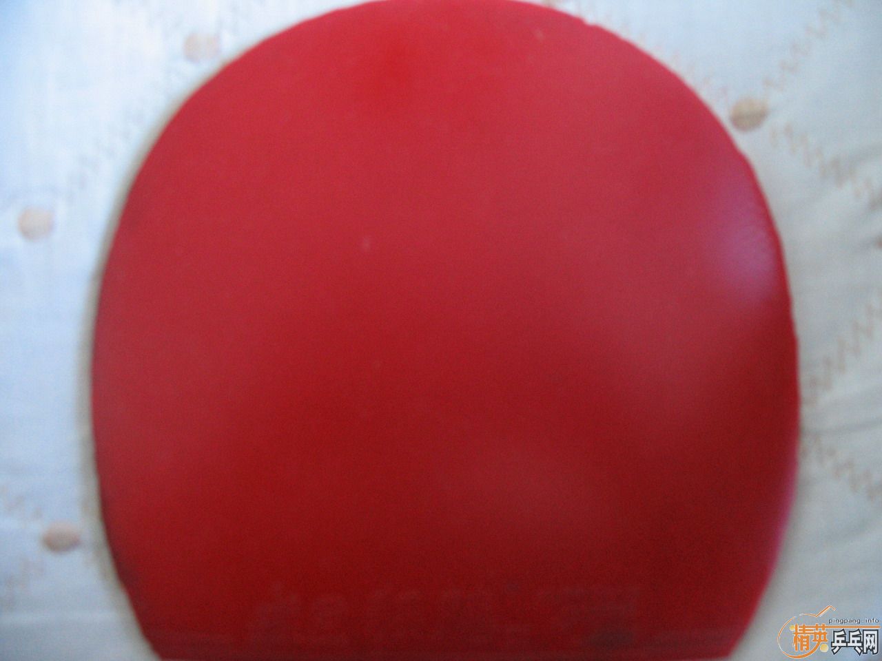 ��������ֱ��һ����8��5�£�240Ԫ���������ֿ�����YASAKA ZAP