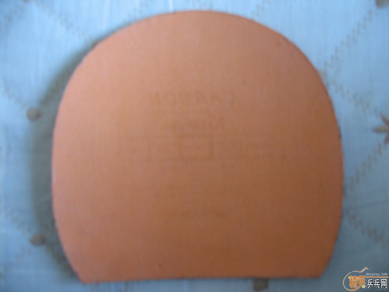 ��������ֱ��һ����8��5�£�240Ԫ���������ֿ�����YASAKA ZAP