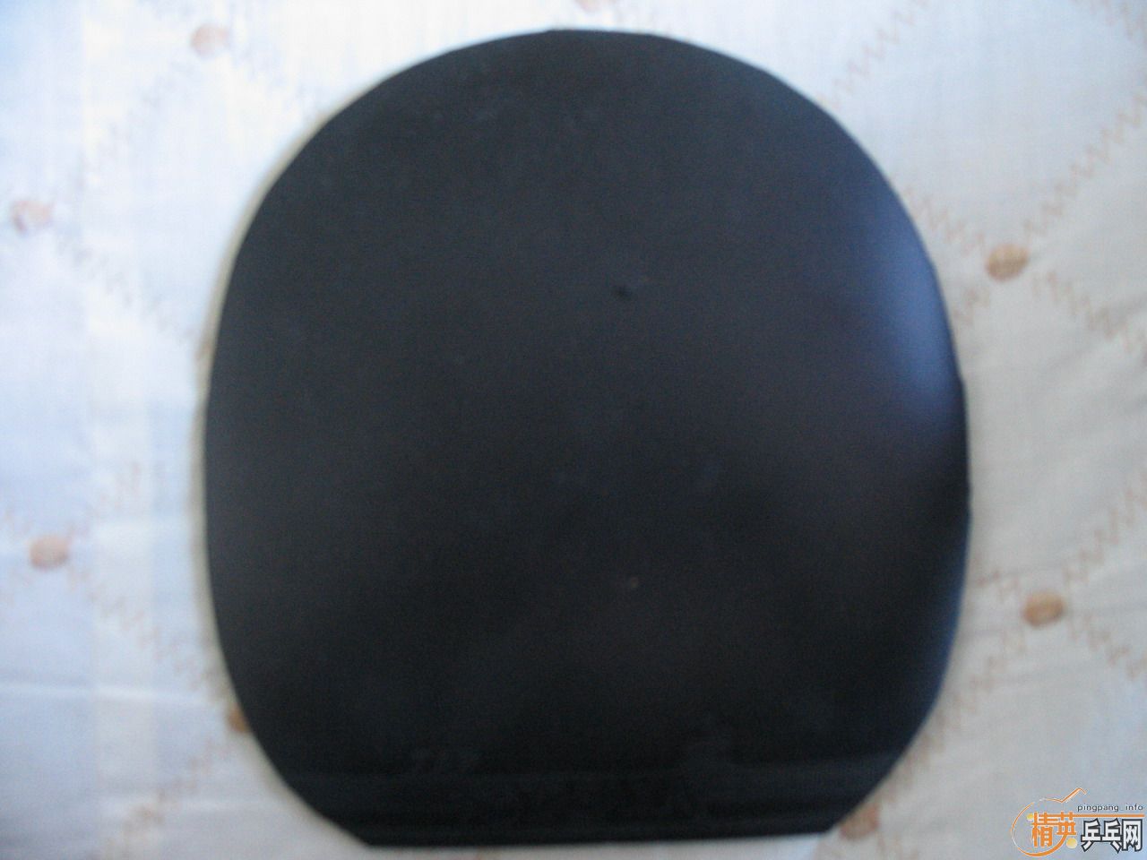 ��������ֱ��һ����8��5�£�240Ԫ���������ֿ�����YASAKA ZAP