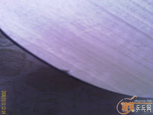 ��һֱֻ��YE,(7����)