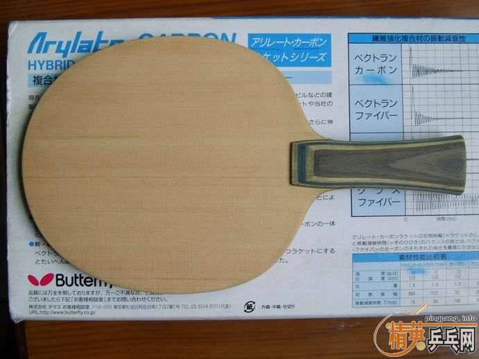 ����֧���