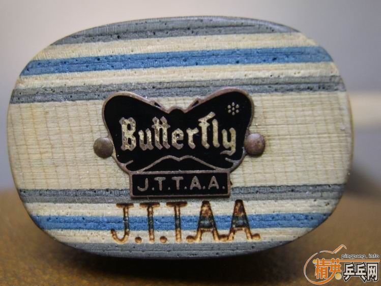 ����֧���