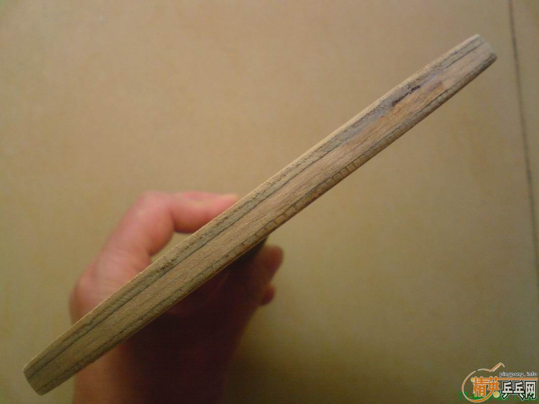 ��һֱֻ���µ�֮��