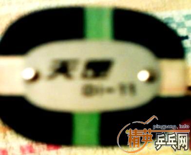 [ԭ��]ת�ø���ĺ�˫ϲ���DI��11