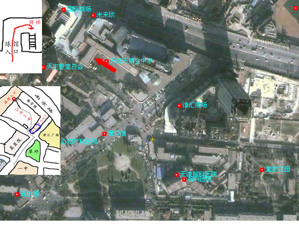 �ϵ������