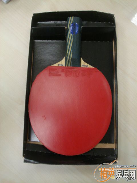 ŷEG ST + ʡ3ɫ41 22MM + PALIO MAXIMO 