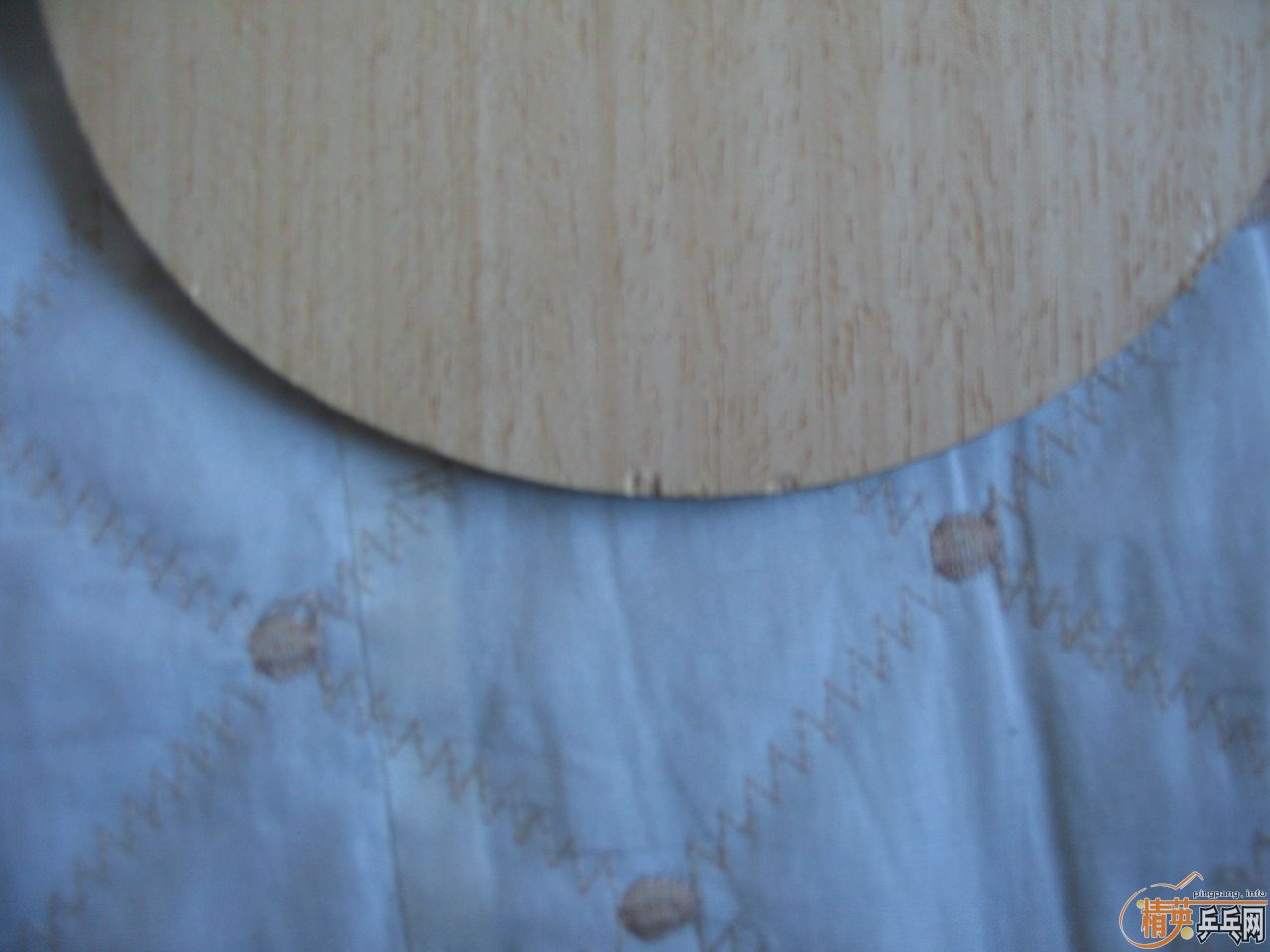 ��������ֱ��һ����8��5�£�260Ԫ���죬�������ֿ�����YASAKA ZAP