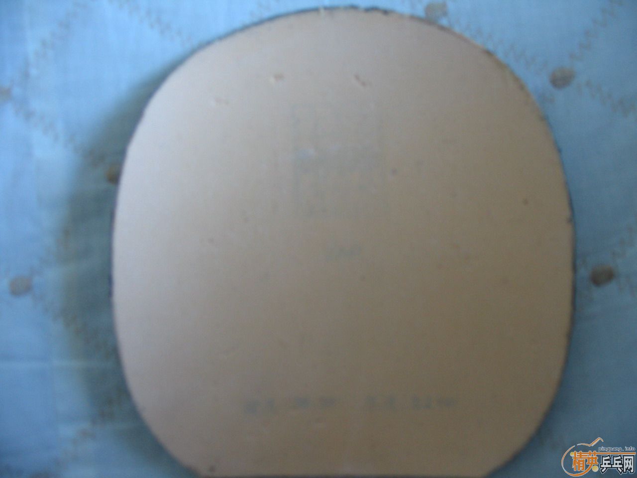 ��������ֱ��һ����8��5�£�260Ԫ���죬�������ֿ�����YASAKA ZAP