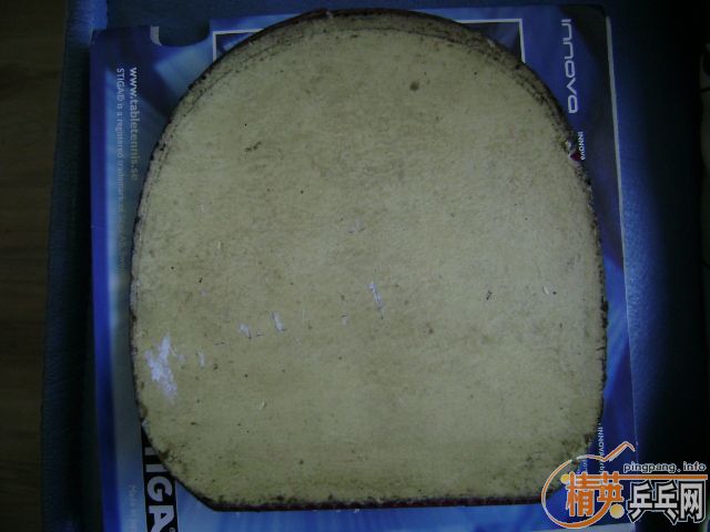 9����˹�ۿ�����һŵ��2�� F1 F2��һ�� �������׽�