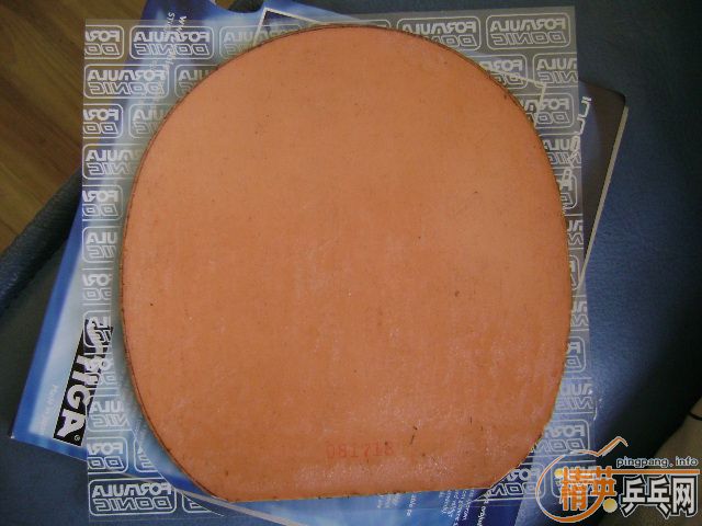 9����˹�ۿ�����һŵ��2�� F1 F2��һ�� �������׽�