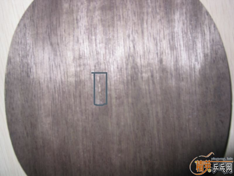 �����ҵ�2�����,��5.4,(��)STIGA O O(��).����ͼ��