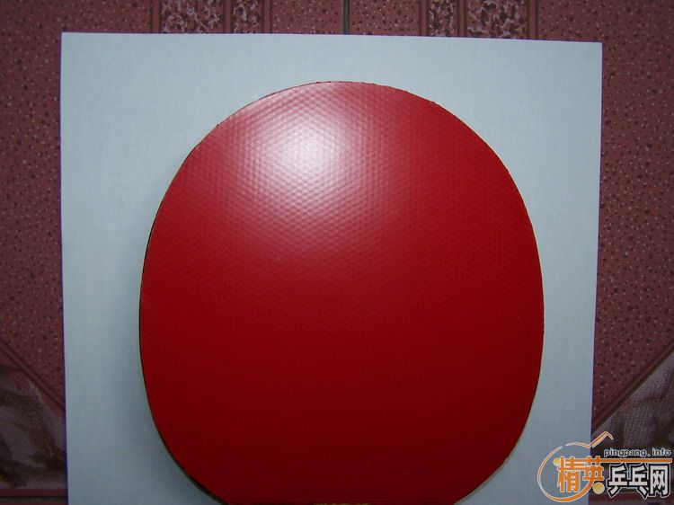 9.8������ʤ�л���CL��FL������αδ�ο�����260Ԫ����ݣ����������׽�һ�����