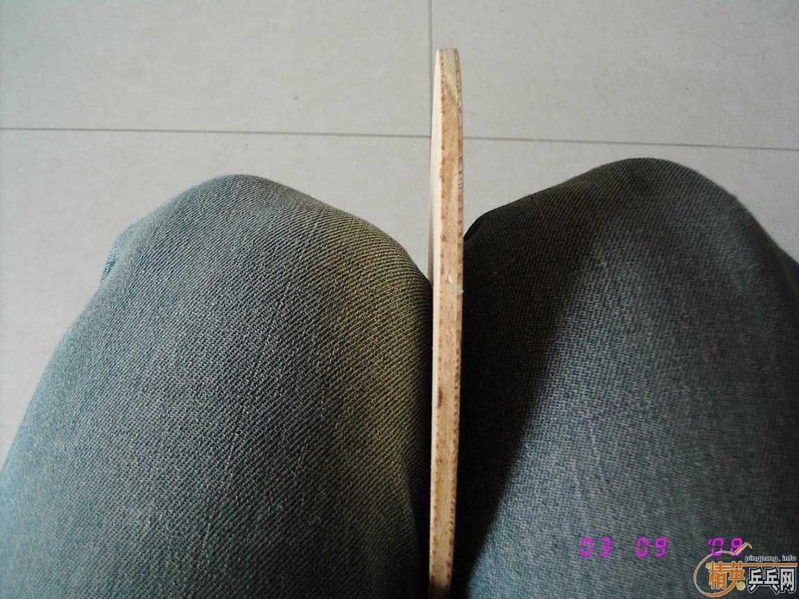 ��9.5��nittaku R5(��),֧��֧����