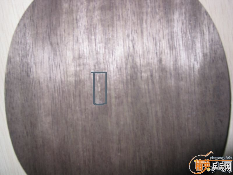 [ԭ��]TI5��4��ST����ST��KORBEL��330����