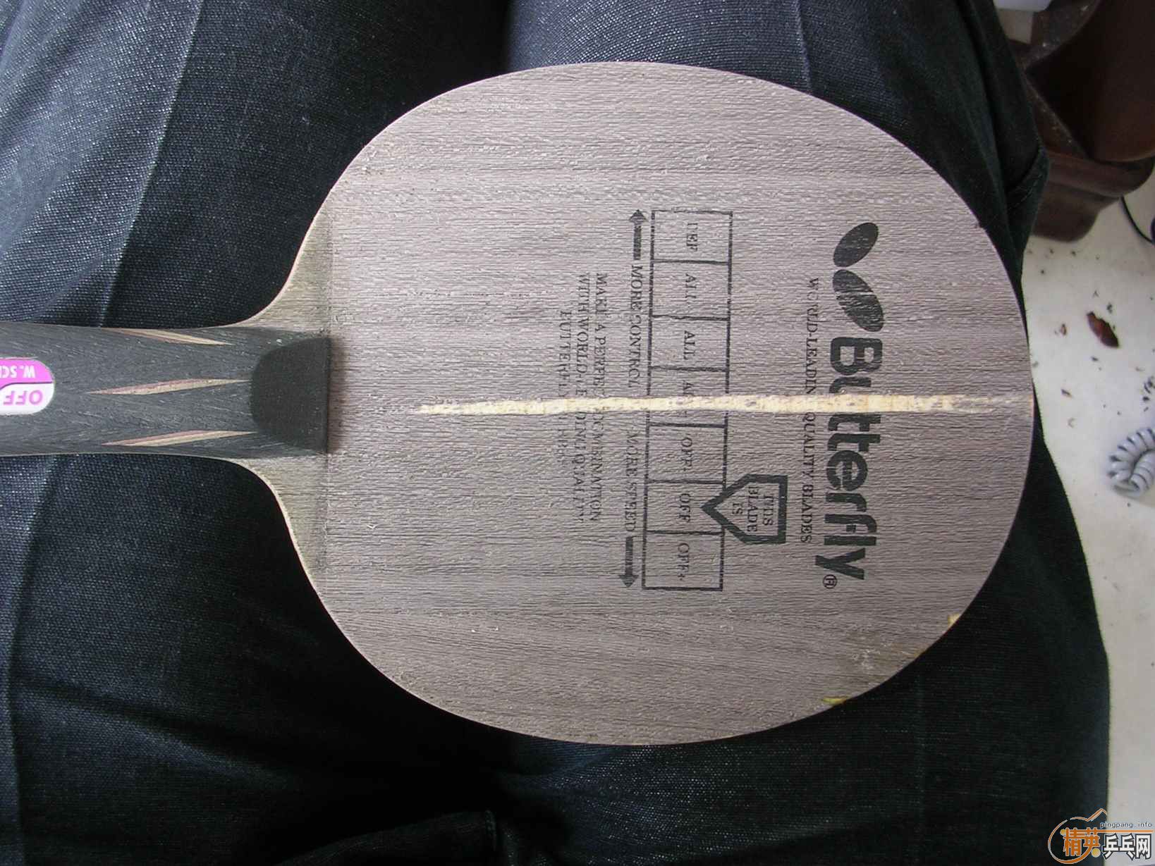 ����֧���