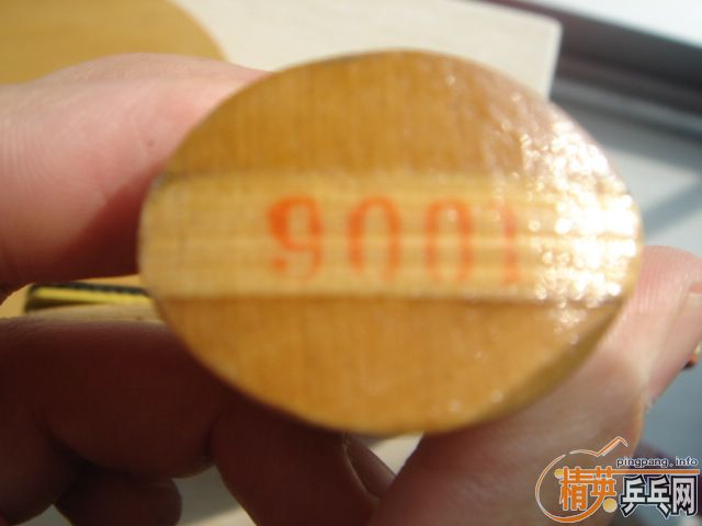 ת�ö����ϰ���