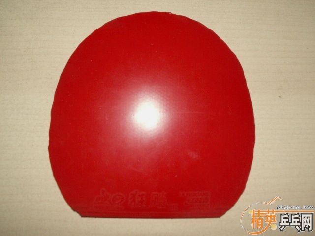 ���񲣣�st������ʩ̼��fl���������ɵ£�ʡ��39���׽�