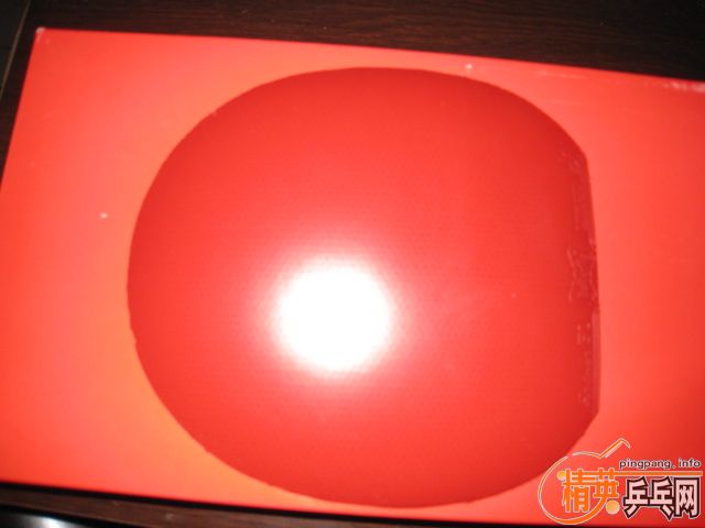 ��YSC��OC������EL98���׽�