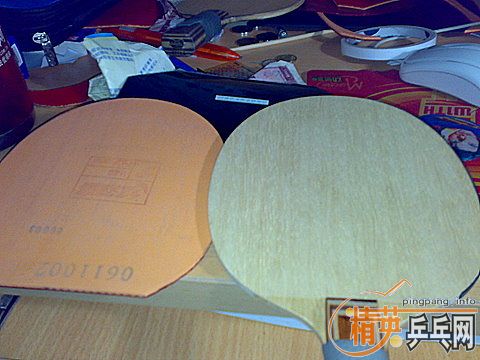 ��������գ�רҵʡ��