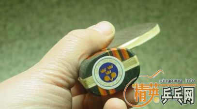 ��ֱ��STIGAˮ����ǿ��