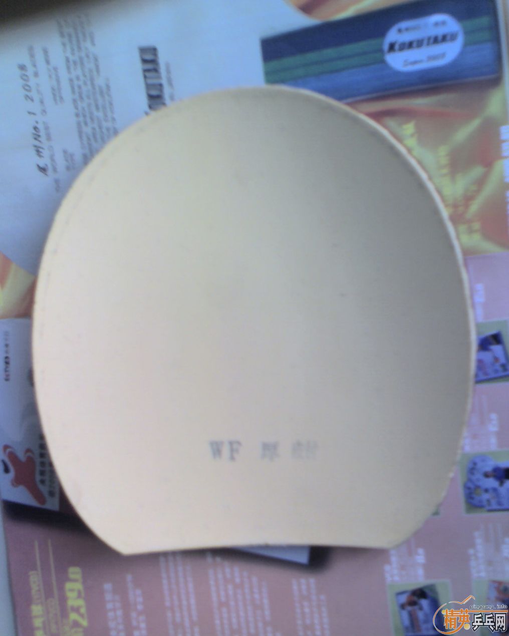 ��ֵ���հ�������MARK V