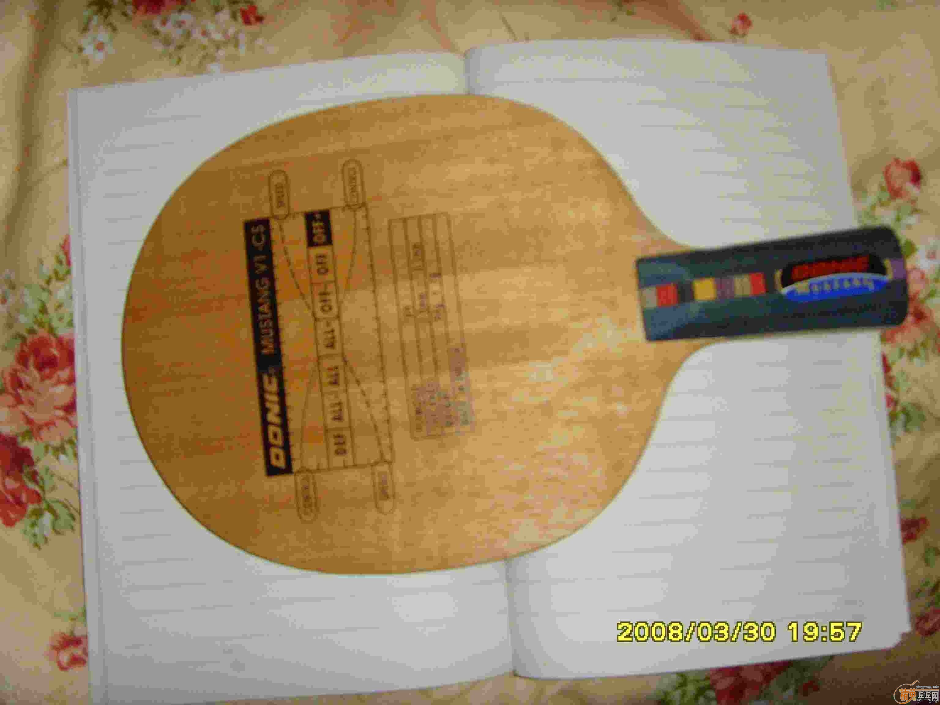 ֱDONIC MASTANG��.�����£��������������׽�