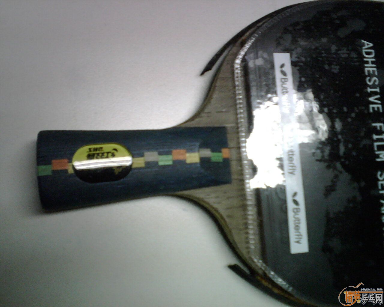 �ҵĳ�������