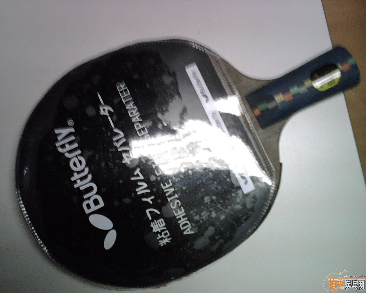 �ҵĳ�������