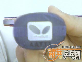 ���� ���� ���ֿ�