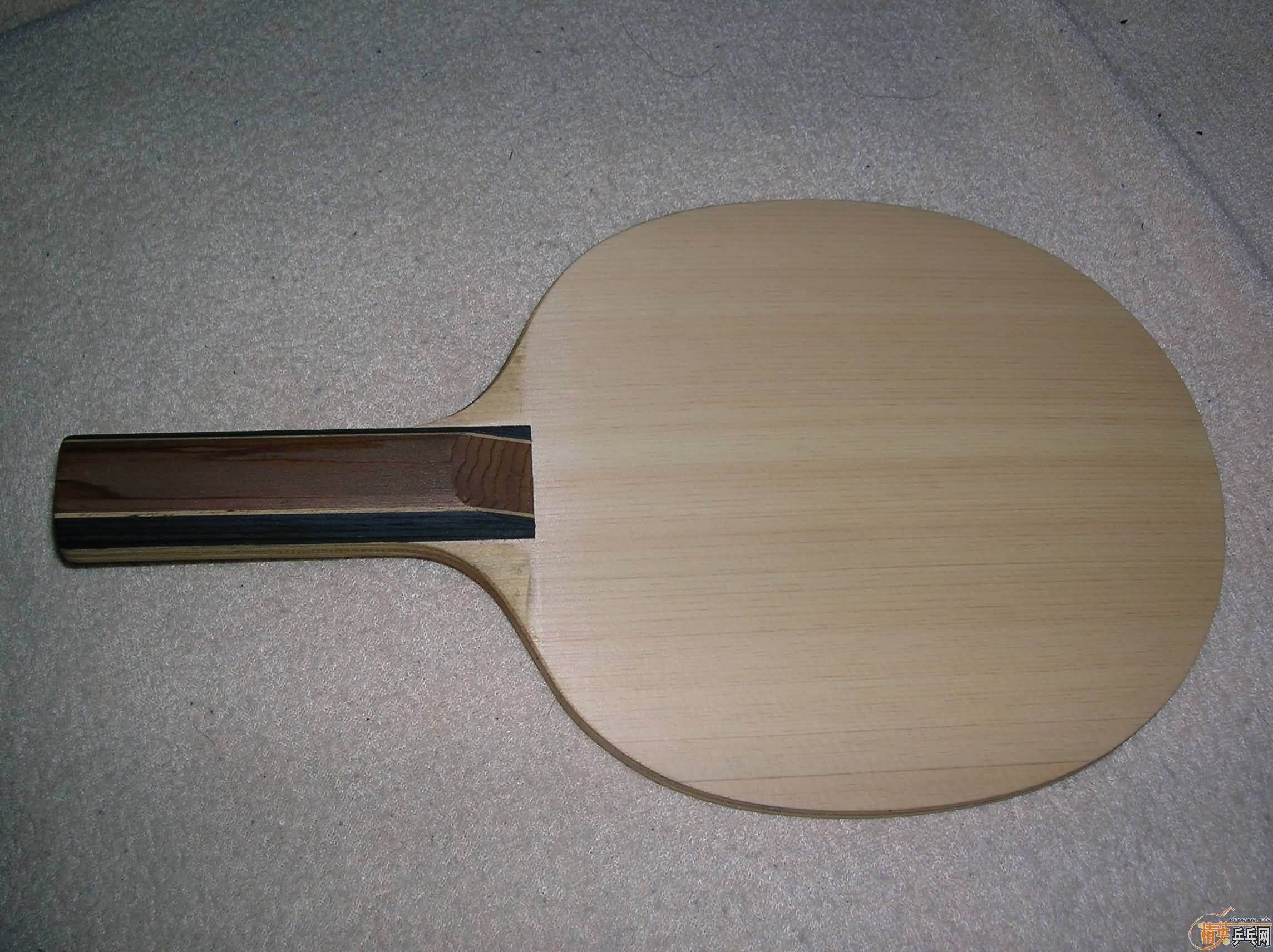 ��nittaku septear st,300���졣����