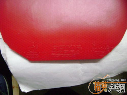 �����jo gold��jo