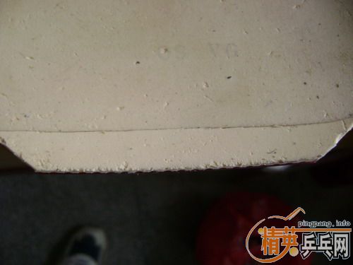 �����jo gold��jo