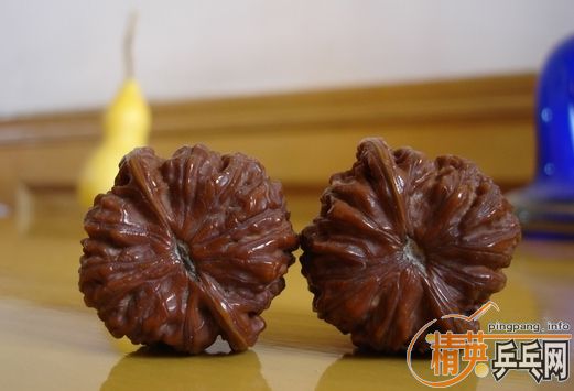 ����ĺ���-Сʨ��ͷ