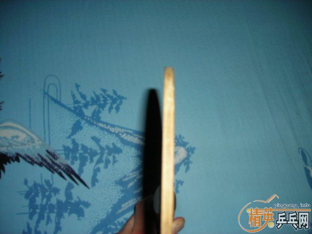 ת�������ţ�����������ģ�����ľ��550����