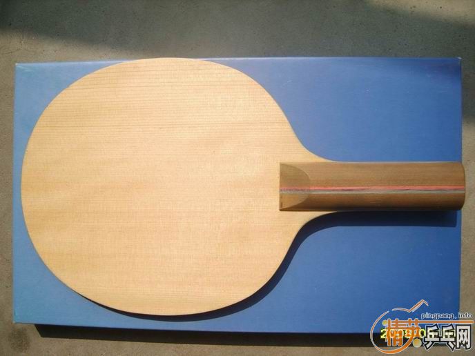 ����֧���