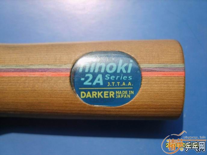 ����֧���