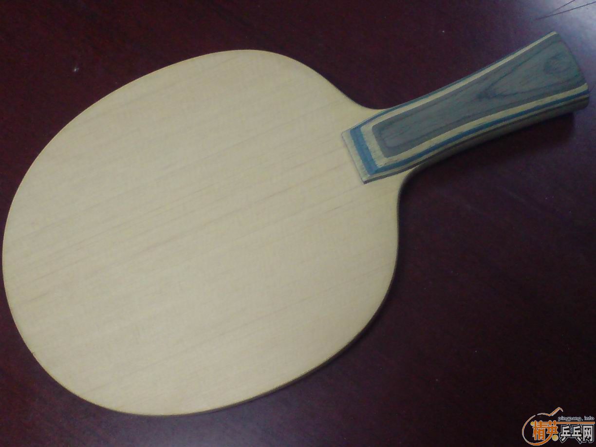 ����֧���