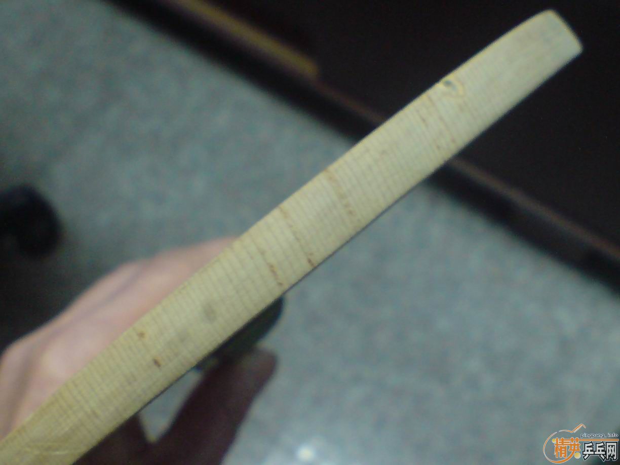 ����֧���