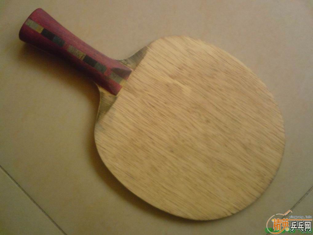 ����֧���