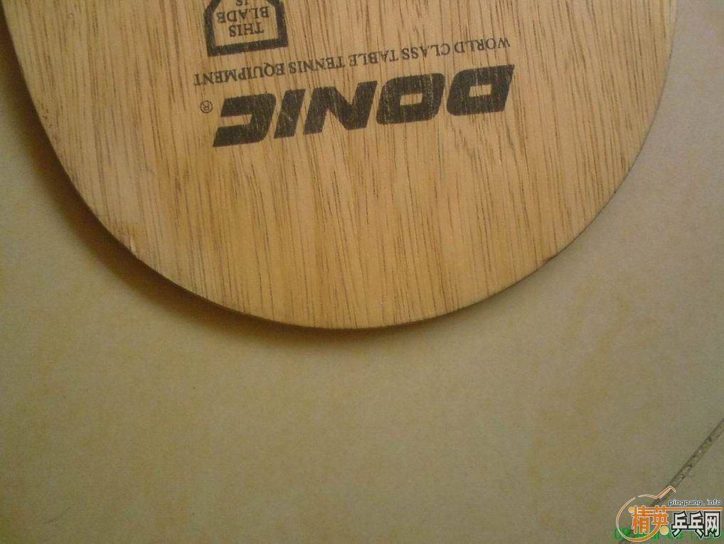 ����֧���